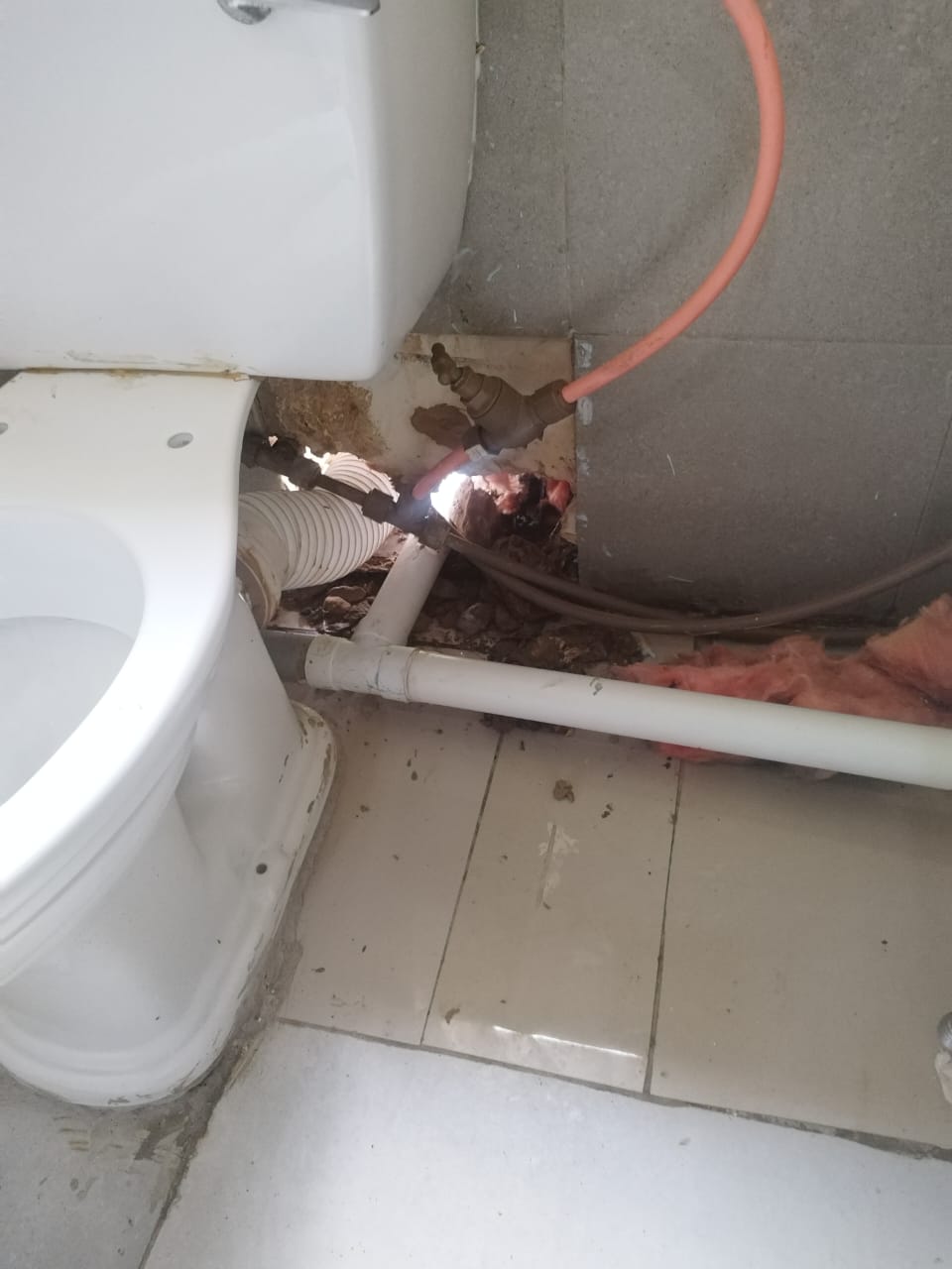 WhatsApp Image 2025-03-04 at 08.41.43_4c54f399