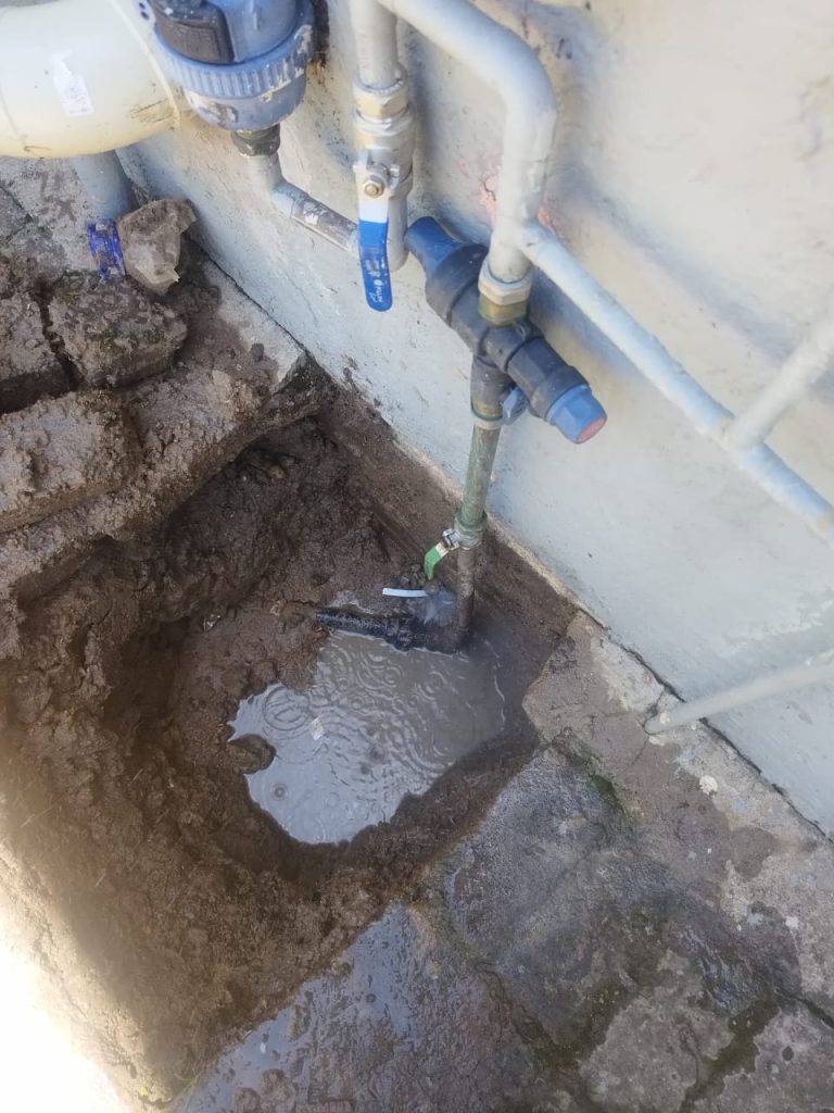 WhatsApp Image 2025-03-04 at 08.41.45_2e7501c5